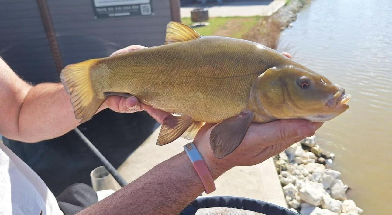 Lakeside Fishing Retreats Бостън Стая снимка