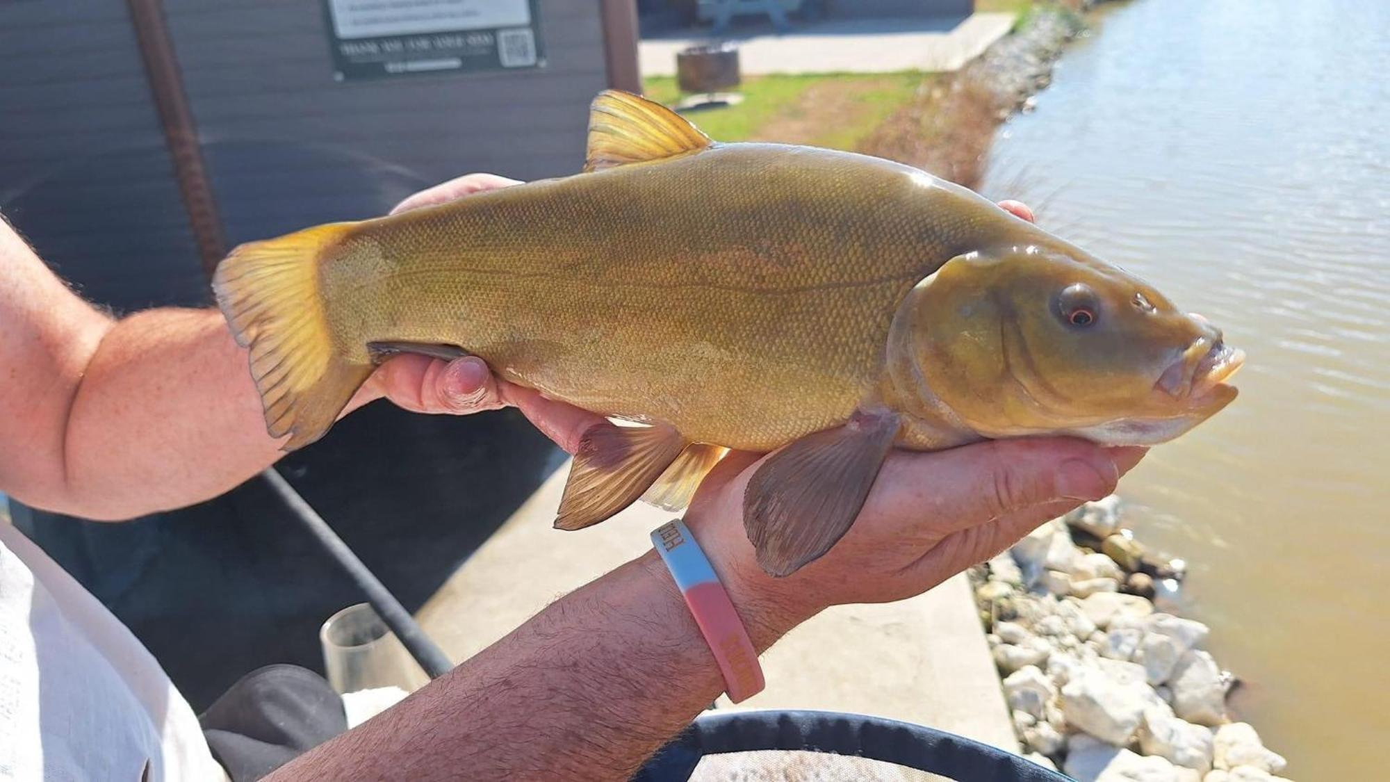Lakeside Fishing Retreats Бостън Стая снимка