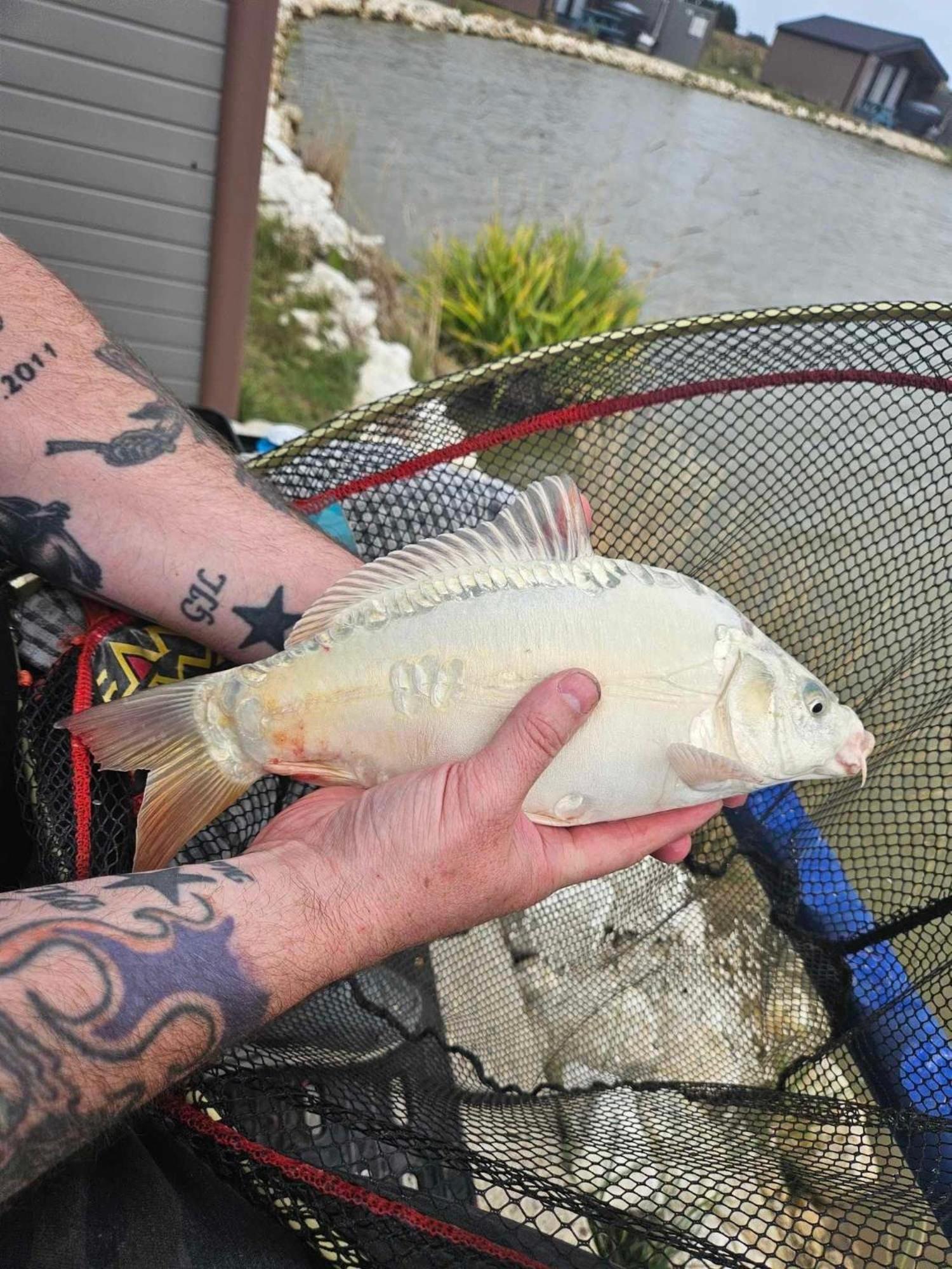 Lakeside Fishing Retreats Бостън Стая снимка