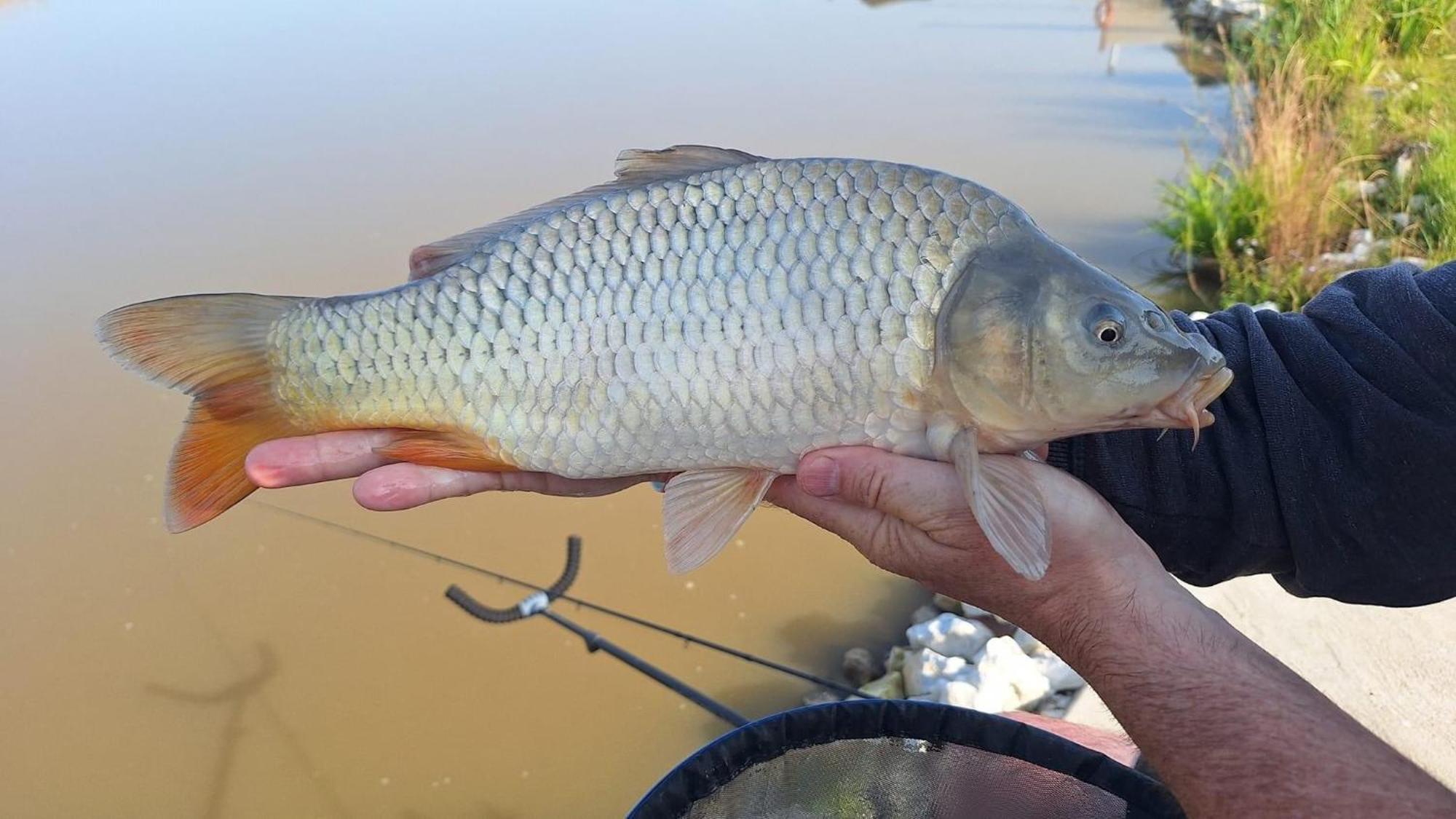 Lakeside Fishing Retreats Бостън Стая снимка