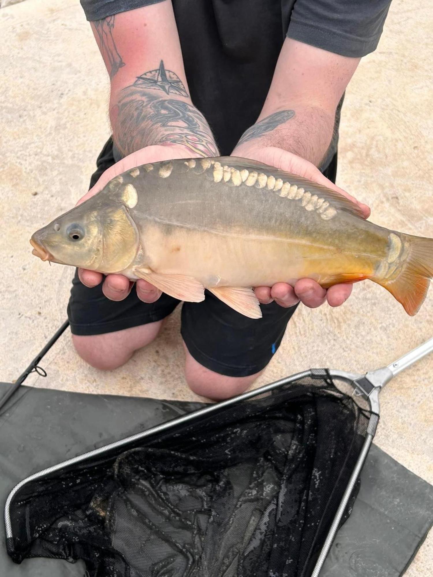 Lakeside Fishing Retreats Бостън Стая снимка