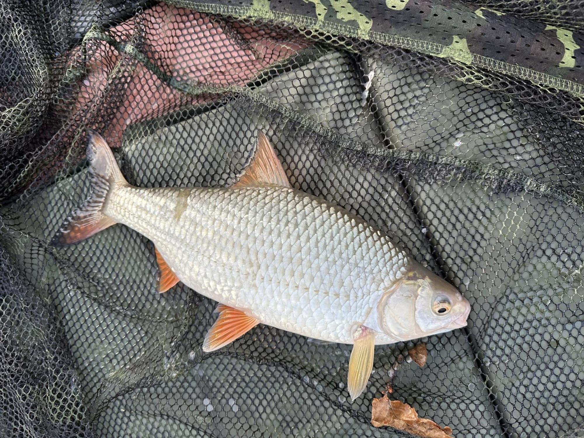 Lakeside Fishing Retreats Бостън Стая снимка